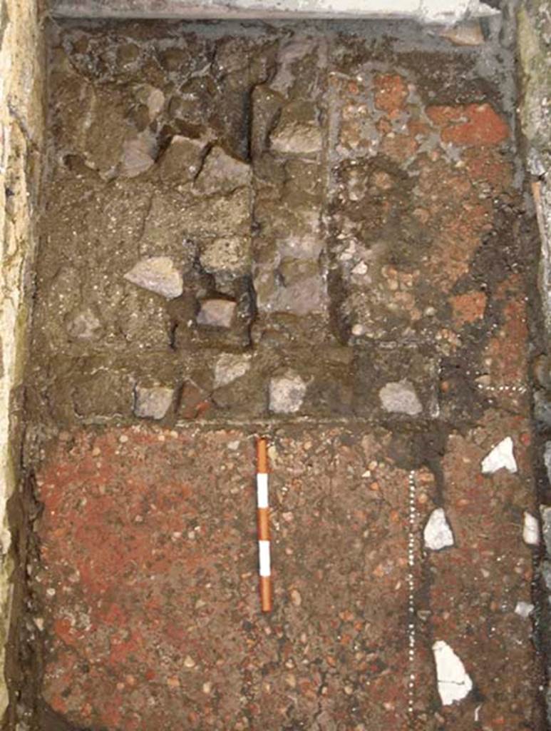 VI.25, Herculaneum. May 2004. Rear room, looking north towards north end of flooring.
Photo courtesy of Nicolas Monteix.